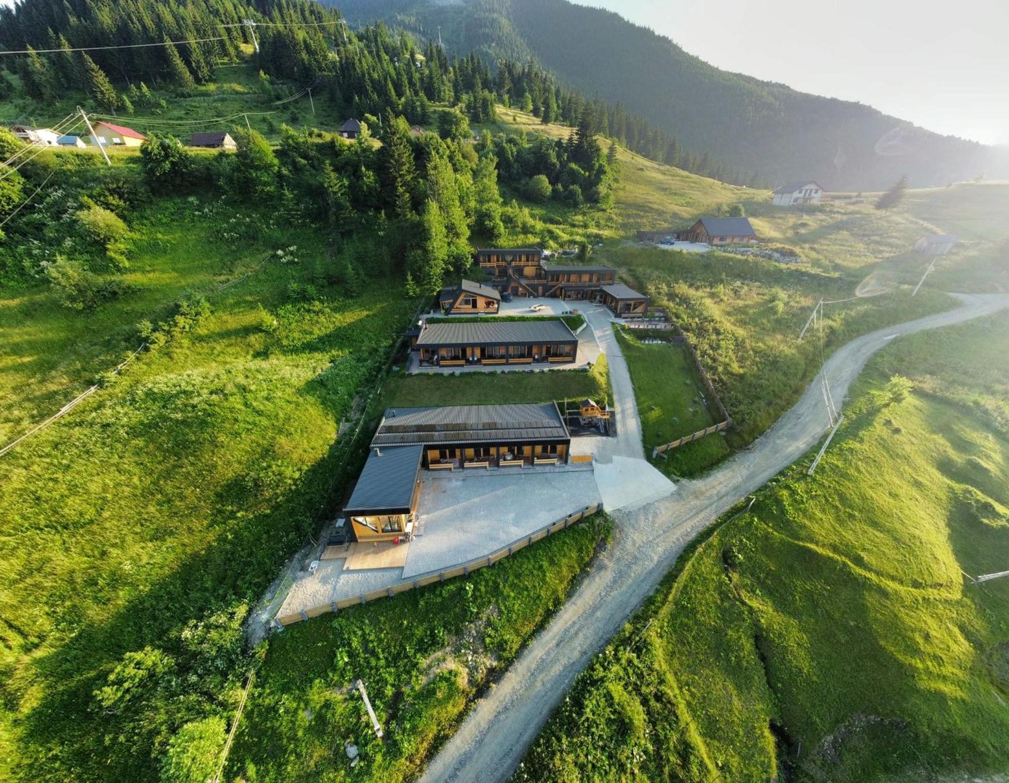 Panoramic