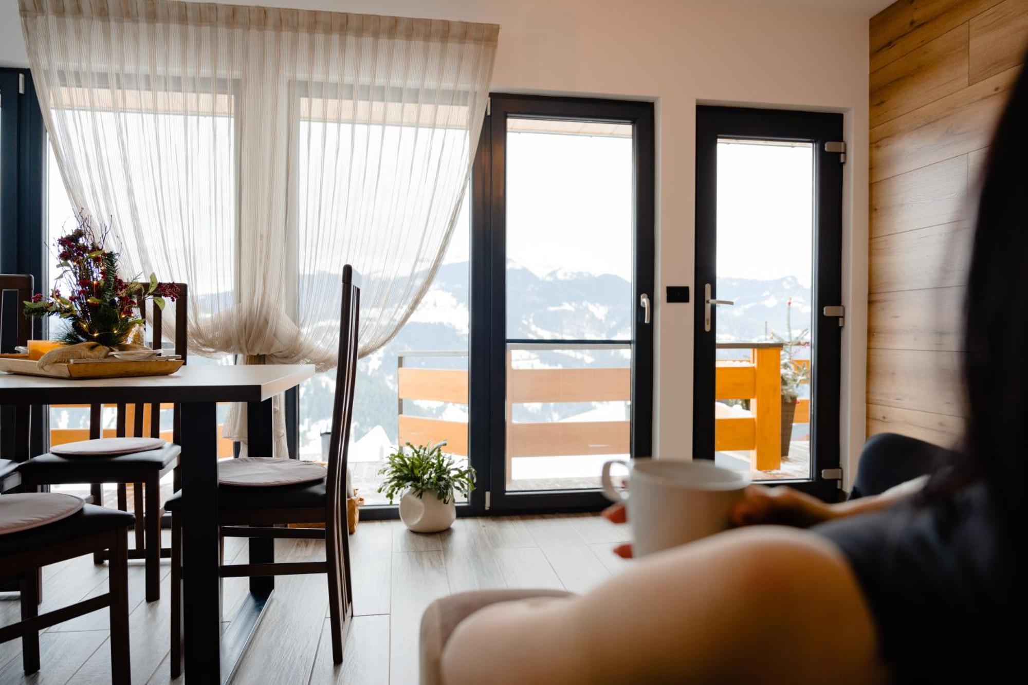 Lodge Panoramic Borşa
