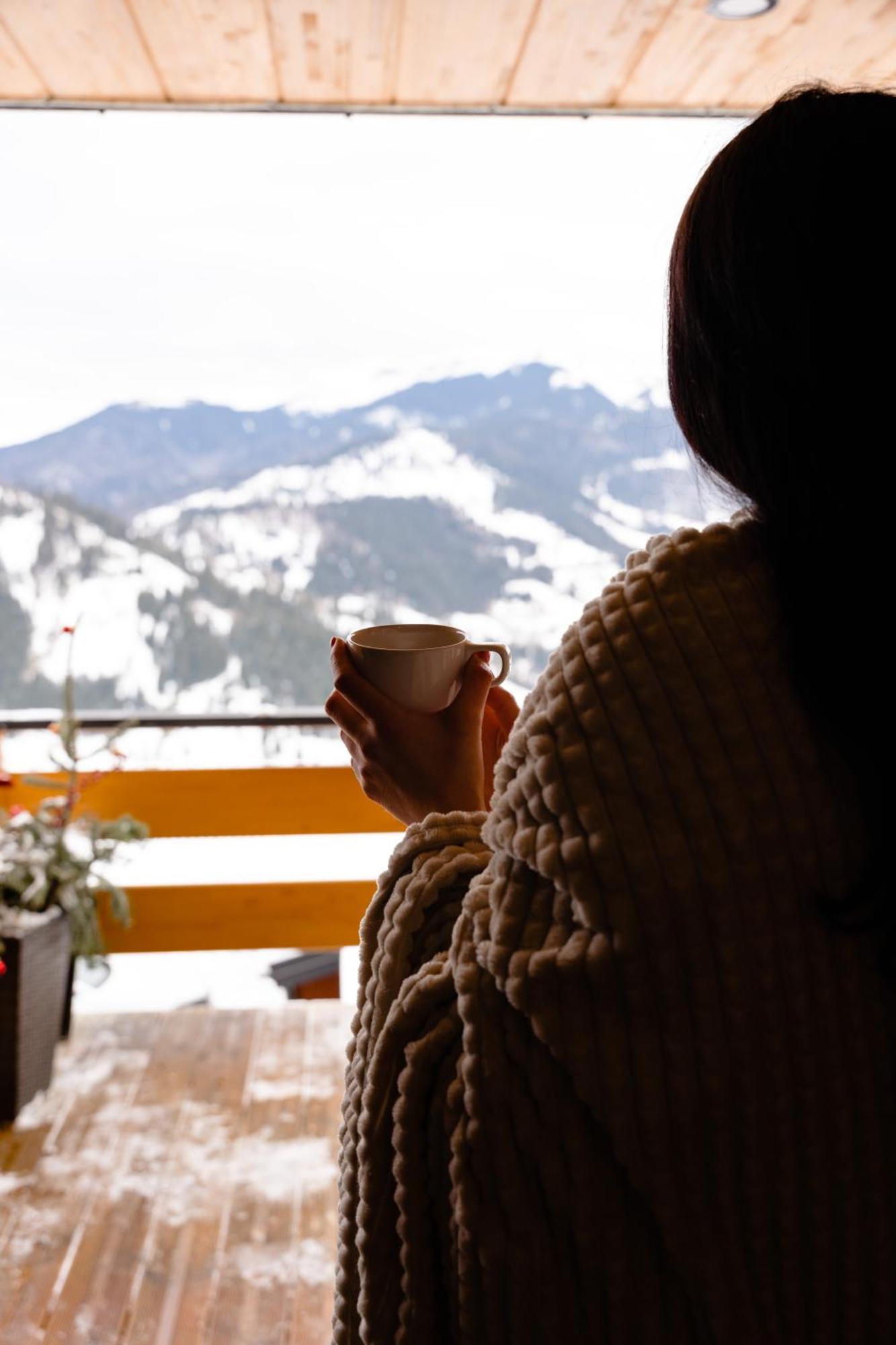 Lodge Panoramic Borşa