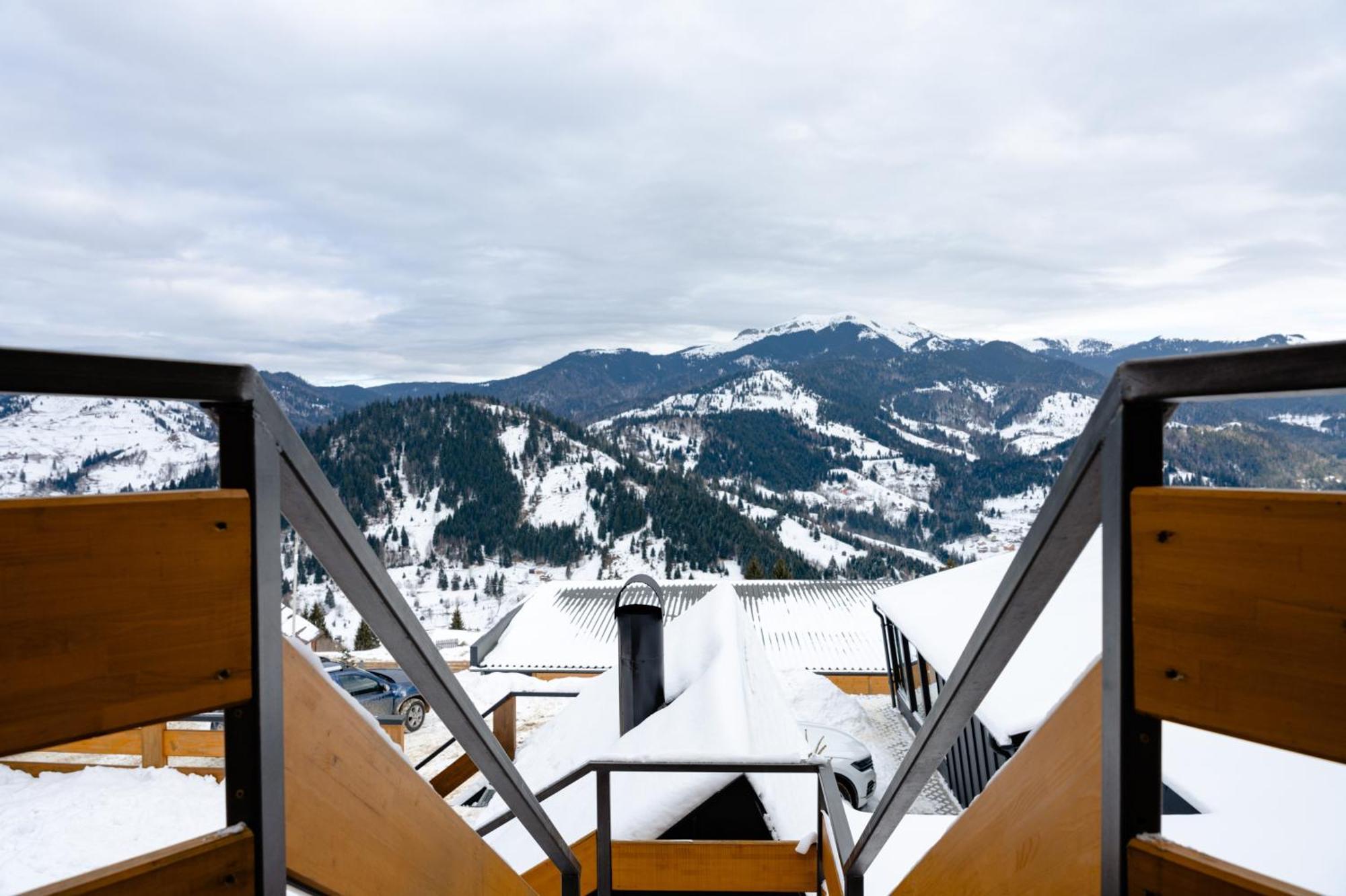Panoramic Lodge Borşa