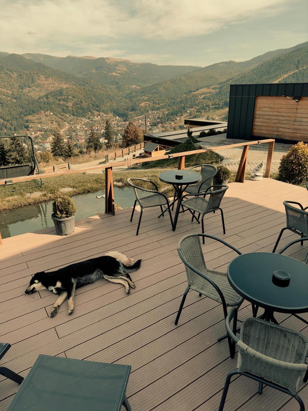 Panoramic Lodge